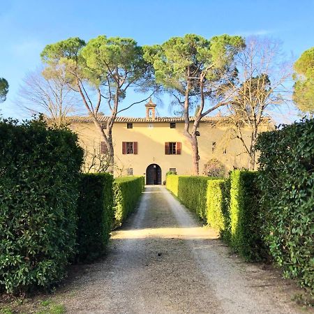 Villa Buonsignori - Wine & Olive Oil Farm 科尔萨诺 外观 照片