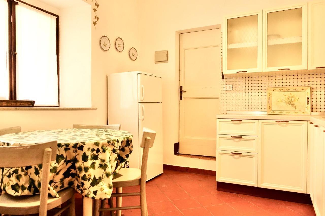Villa Buonsignori - Wine & Olive Oil Farm 科尔萨诺 外观 照片