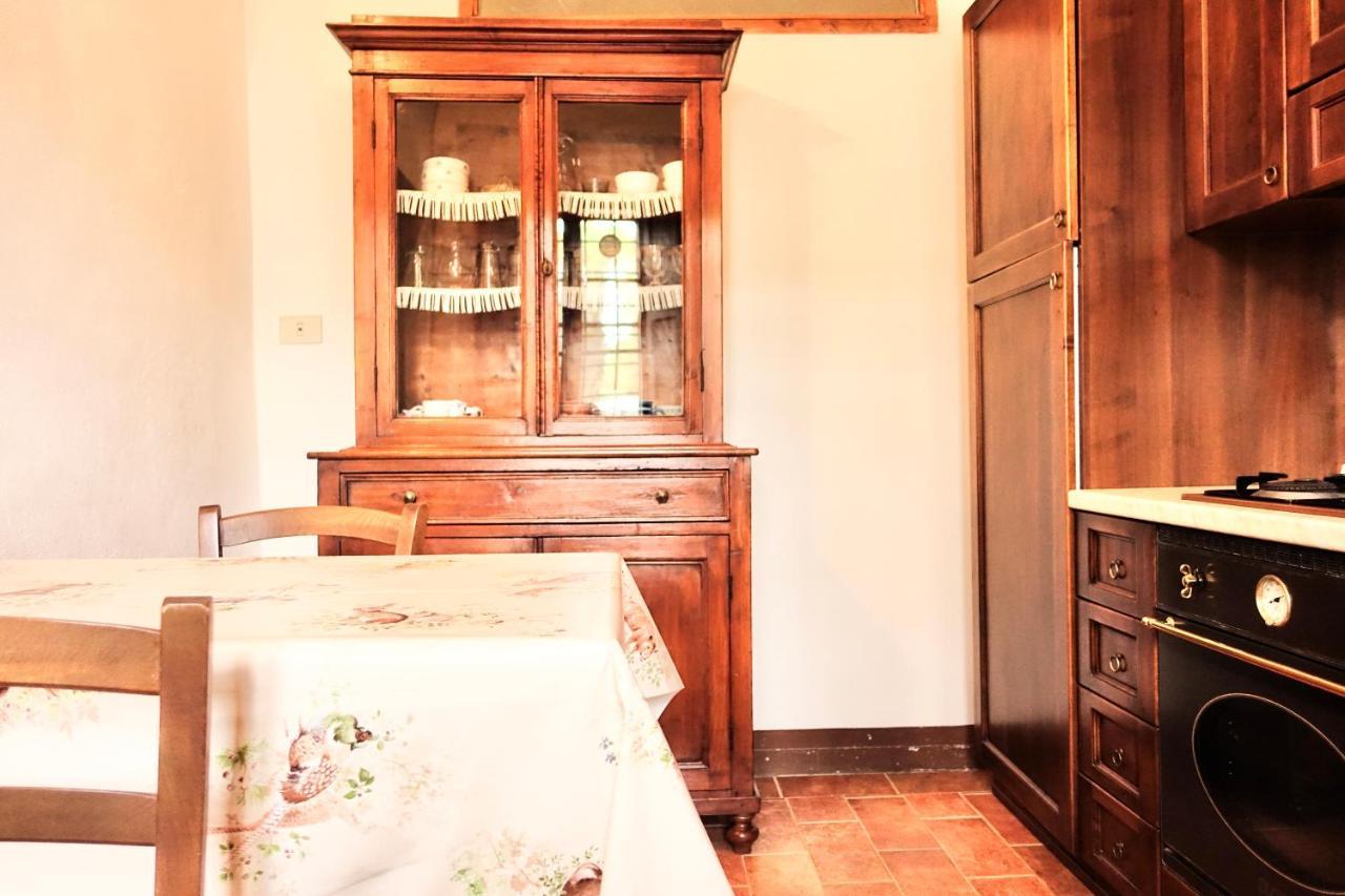 Villa Buonsignori - Wine & Olive Oil Farm 科尔萨诺 外观 照片