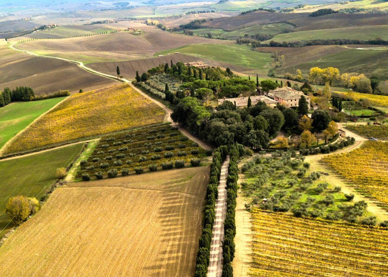 Villa Buonsignori - Wine & Olive Oil Farm 科尔萨诺 外观 照片
