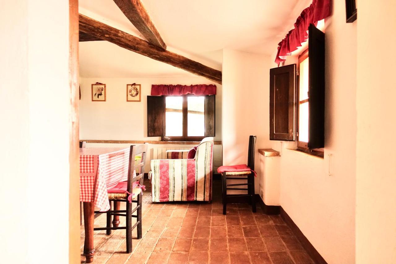 Villa Buonsignori - Wine & Olive Oil Farm 科尔萨诺 外观 照片