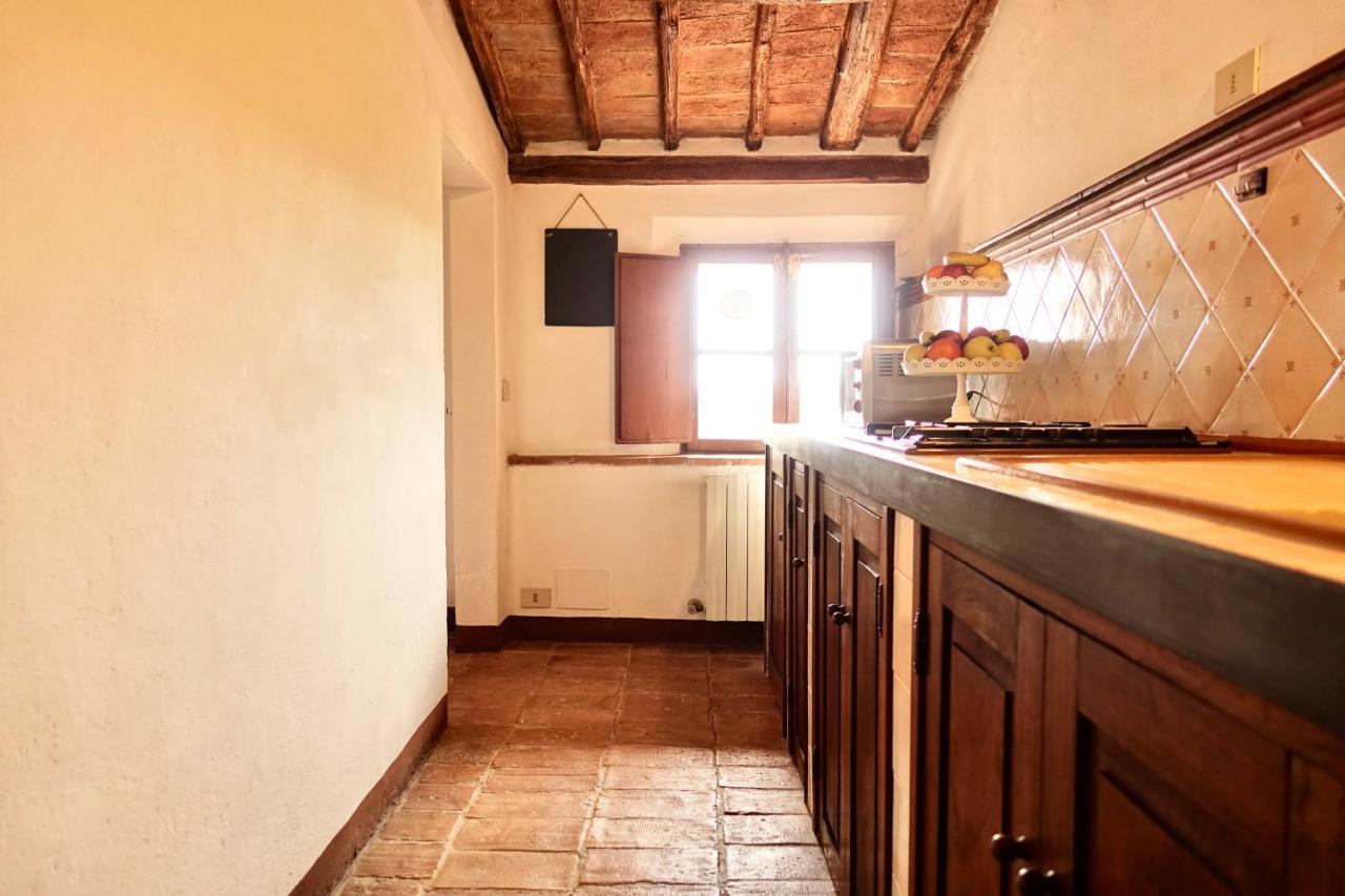 Villa Buonsignori - Wine & Olive Oil Farm 科尔萨诺 外观 照片