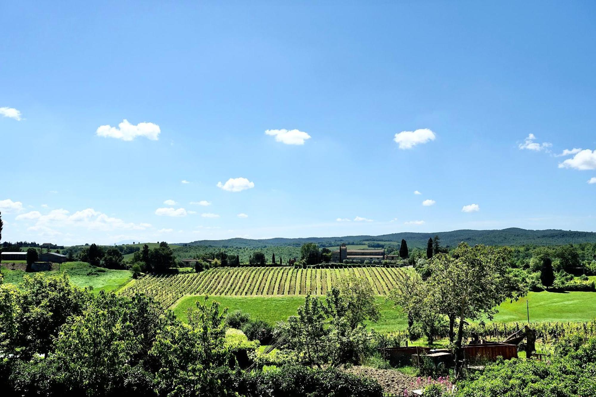 Villa Buonsignori - Wine & Olive Oil Farm 科尔萨诺 外观 照片