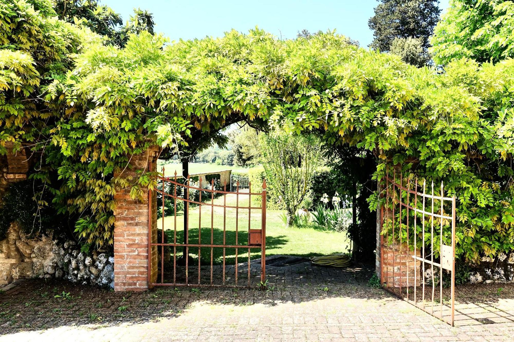 Villa Buonsignori - Wine & Olive Oil Farm 科尔萨诺 外观 照片